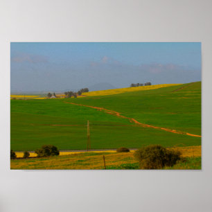 Zuid-Afrika Landschap Canola Fields Poster
