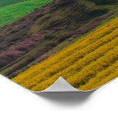 Zuid-Afrika Landschap Canola Fields Poster (Hoek)