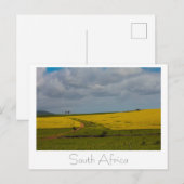 Zuid-Afrika Landschap Natuur Landschappen Ansichtk Briefkaart (Voorkant / Achterkant)