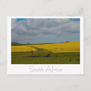 Zuid-Afrika Landschap Natuur Landschappen Ansichtk Briefkaart