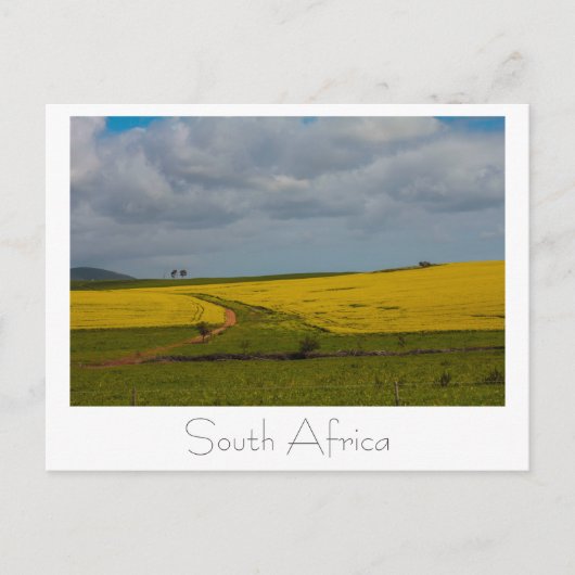 Zuid-Afrika Landschap Natuur Landschappen Ansichtk Briefkaart (Voorkant)