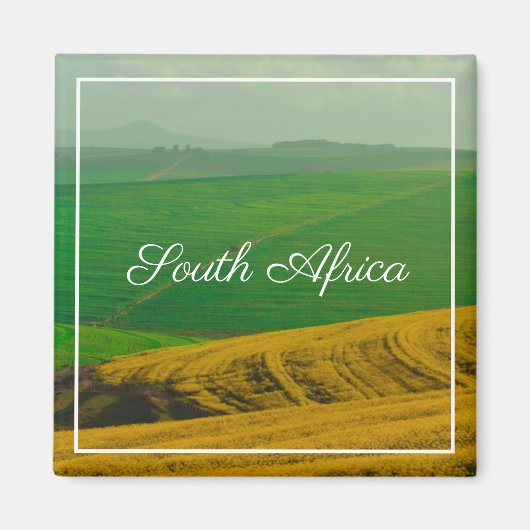 Zuid-Afrika Landschappelijk Landschap Koolzaadveld Magneet (Voorkant)
