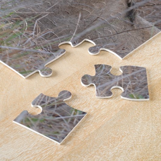 Zuid-Afrika Leeuw Puzzel (Zijkant)