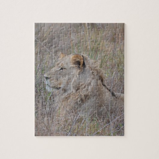 Zuid-Afrika Leeuw Puzzel (Verticaal)