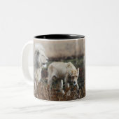 Zuid-Afrika Lion als koning Tweekleurige Koffiemok (Voorkant links)