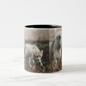 Zuid-Afrika Lion als koning Tweekleurige Koffiemok (Center)