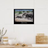 Zuid-Afrika Olifanten Poster (Keuken)
