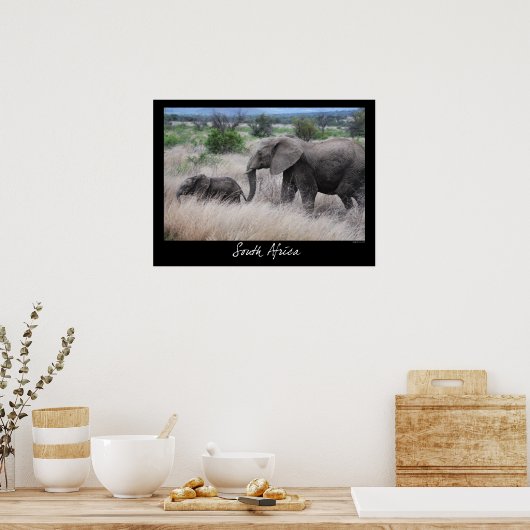 Zuid-Afrika Olifanten Poster (Keuken)