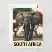 Zuid-Afrika olifanten safari reizen Briefkaart (Voorkant / Achterkant)
