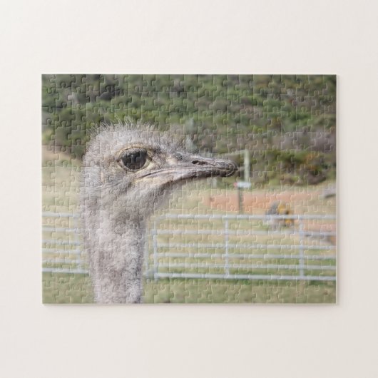 Zuid-Afrika Ostrich Boerderij. Legpuzzel (Horizontaal)