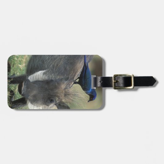 Zuid-Afrika, Pilanesburg GR, Warthog Bagagelabel (Voorkant horizontaal)