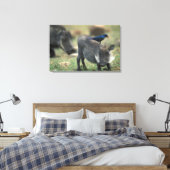 Zuid-Afrika, Pilanesburg GR, Wratzwijn Canvas Afdruk (Insitu (Slaapkamer))
