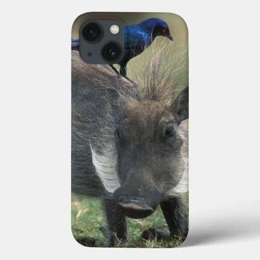 Zuid-Afrika, Pilanesburg GR, Wratzwijn Case-Mate iPhone Case (Achterkant)