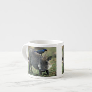Zuid-Afrika, Pilanesburg GR, Wratzwijn Espresso Kop