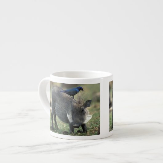 Zuid-Afrika, Pilanesburg GR, Wratzwijn Espresso Kop (Links)