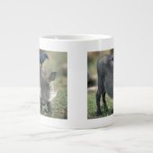 Zuid-Afrika, Pilanesburg, Warthog Grote Koffiekop (Voorkant)