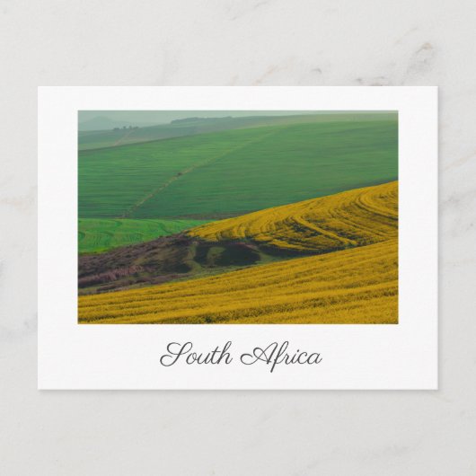 Zuid-Afrika Platteland Landschap Koolzaadvelden Briefkaart (Voorkant)