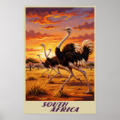 Zuid-Afrika poster (Voorkant)