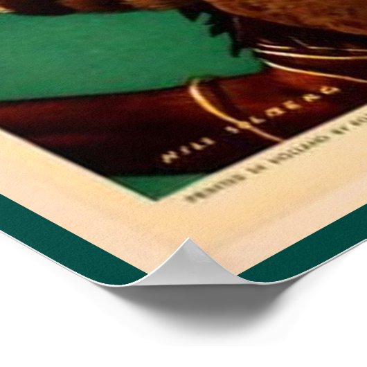 Zuid-Afrika Poster (Hoek)