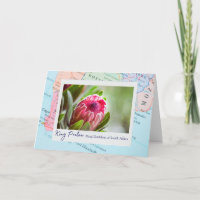 Zuid-Afrika Roze Koning Protea Bloemen Embleem op