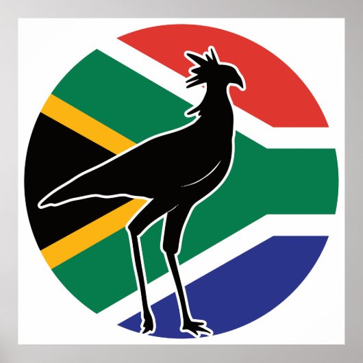 Zuid-Afrika Secretarybird Secretaris vogel Afrikaa Poster (Voorkant)
