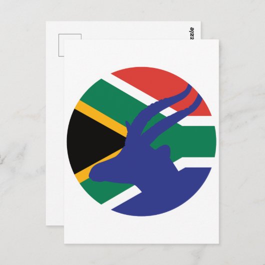 Zuid-Afrika Springbok Antelope Zuid-Afrikaans Briefkaart (Voorkant / Achterkant)