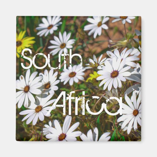Zuid-Afrika Velddrif West Coast Wild Flowers Magneet (Voorkant)