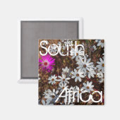Zuid-Afrika Velddrif West Coast Wild Flowers Magneet (Voorkant / Achterkant)