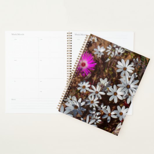 Zuid-Afrika Velddrif West Coast Wild Flowers Planner (Display)