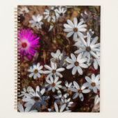 Zuid-Afrika Velddrif West Coast Wild Flowers Planner (Voorkant)