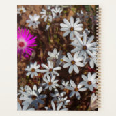 Zuid-Afrika Velddrif West Coast Wild Flowers Planner (Achterkant)