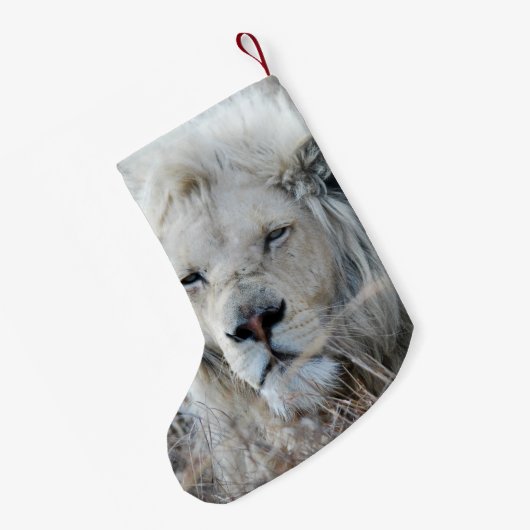 Zuid-Afrika White Lion rust Kleine Kerstsok (Achterkant (Hangend))