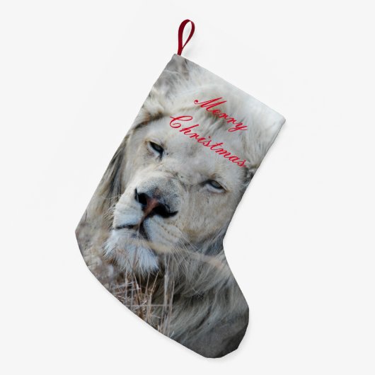 Zuid-Afrika White Lion rust Kleine Kerstsok (Voorkant (Hangend))