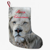Zuid-Afrika White Lion rust Kleine Kerstsok (Voorkant)