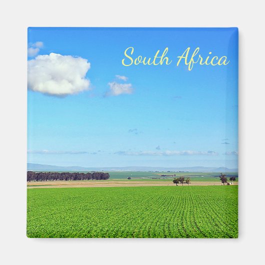 Zuid-Afrika Wijngaardvelden Landschapsmagneet Magneet (Voorkant)