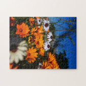 Zuid-Afrika Wild Namaqualand Flowers Legpuzzel (Horizontaal)