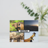 Zuid-Afrika Wildlife Fotocollage Briefkaart (Staand voorkant)