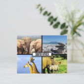 Zuid-Afrika Wildlife Fotocollage Briefkaart (Staand voorkant)