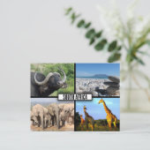 Zuid-Afrika Wildlife Fotocollage Briefkaart (Staand voorkant)