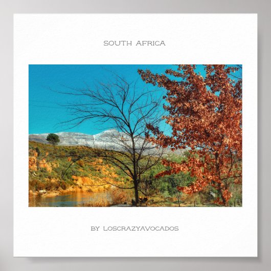 Zuid-Afrika Winter Herfst Landschap Sneeuw Poster (Voorkant)