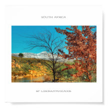 Zuid-Afrika Winter Herfst Landschap Sneeuw Poster
