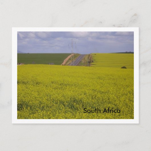 Zuid-Afrikaans landschap Briefkaart (Voorkant)