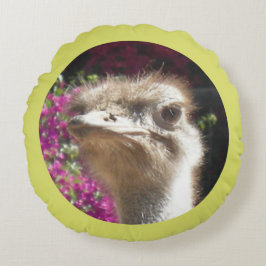 Zuid-Afrikaans Ostrich Face Round Pillow Rond Kussen