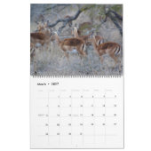 Zuid-Afrikaans wild Kalender (Mar 2027)