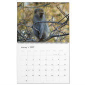 Zuid-Afrikaans wild Kalender (Jan 2027)