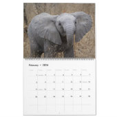 Zuid-Afrikaans wild Kalender (Feb 2026)