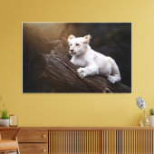 Zuid-Afrikaanse Cute White Lion Cub Canvas Afdruk (Insitu (Woonkamer))