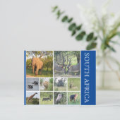 zuid - afrikaanse dieren briefkaart (Staand voorkant)
