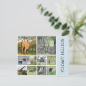 zuid - afrikaanse dieren briefkaart (Staand voorkant)