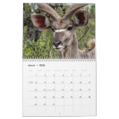 Zuid-Afrikaanse dieren Kalender (Mar 2026)